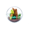 Authentic Pokemon figures re-ment Terrarium collection 6