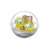 Authentic Pokemon figures re-ment Terrarium collection 6