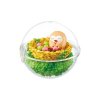 Officiële Pokemon figures re-ment terrarium collection EX Alola Region 2