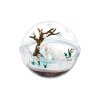 Officiële Pokemon figures re-ment terrarium collection EX Alola Region 2