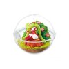 Officiële Pokemon figures re-ment terrarium collection EX Alola Region 2