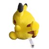 Officiële Pokemon center knuffel pikachu Pokedoll 2005, 15cm