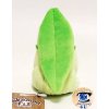 autehntic Pokemon Center Plush Pokemon fit Chikorita 12cm 