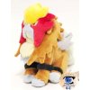 Officiële Pokemon center knuffel Pokemon fit Entei 14cm 