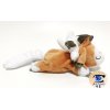 Authentic Pokemon center plush, Kuttari Lycanroc sleeping 20cm long 