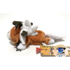 Authentic Pokemon center plush, Kuttari Lycanroc sleeping 20cm long 