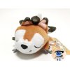 Authentic Pokemon center plush, Kuttari Lycanroc sleeping 20cm long 